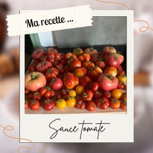 Sauce tomate fraîche